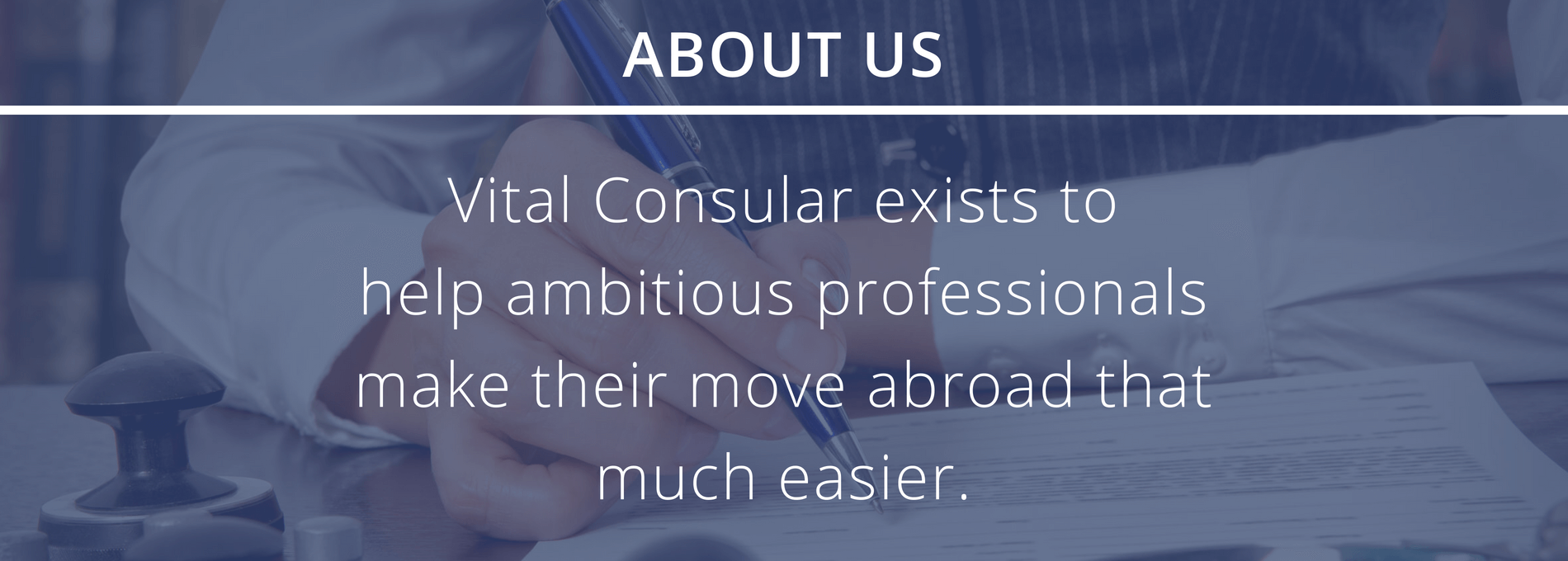 Vital Consular About Us